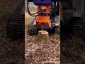 This Attachment Can Remove Stumps In seconds #satisfying #shortsfeed #shorts