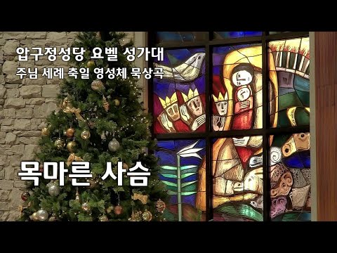 영상썸네일