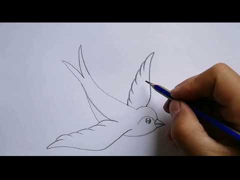Kuş çizimi / Kırlangıç çizimi / Kolay çizimler / Kolay hayvan çizimleri