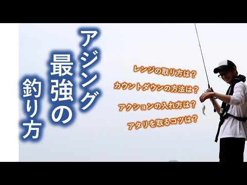 動画で分かる 誰でも簡単に釣れるアジングの釣り方 あおむしの釣行記４