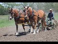 PLANTING CHECKED CORN