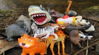 Lots of Wild Animal Toys  🐅  Safari Animal Toys