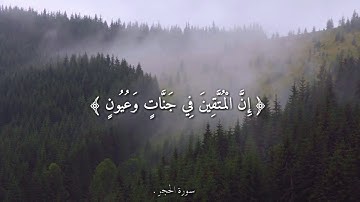 ﴿إِنَّ الْمُتَّقِينَ فِي جَنَّاتٍ وَعُيُونٍ﴾|هزاع البلوشي|أجمل حالات واتس اب دينية🍃 تلاوة مباركة.