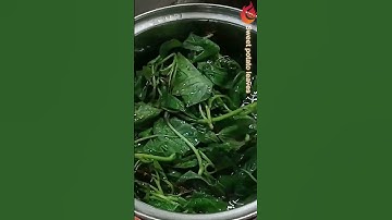 Masakan paling sederhana dari daun ubi jalar