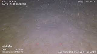 088 CMEP0317 ENV434 A1
