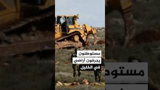 مستوطنون يجرفون أراضي فلسطينية شمال الخليل
