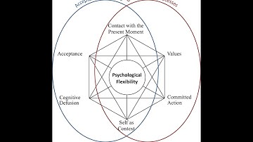 Applied Behavior Analysis and ACT (Acceptance and Commitment Therapy).