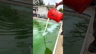Green Pool Opening Satisfying Pool Cleaning #poolcleaning #pool #poolmaintenance #diy #poolcare