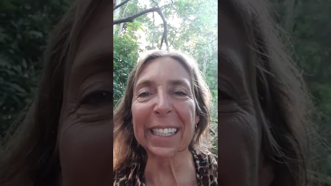 For YOU, Messengers of the Light