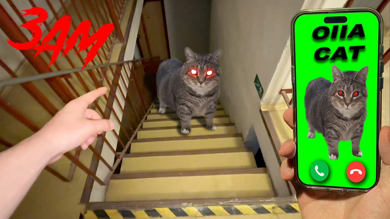 IF OIIAOIIA CAT IS CALLING YOU - RUN Part 2