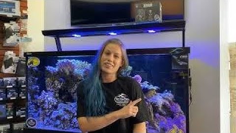 1min review Sicce XStream NEW WAVEPUMP