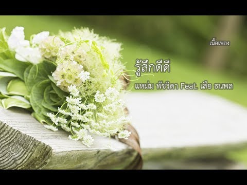 รู้สึกดีดี - แหม่ม พัชริดา feat. เสือ ธนพล | เนื้อเพลง