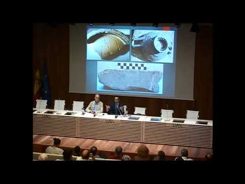 Video: La maldición de la antigua Pompeya: por qué los turistas devuelven artefactos robados en masa