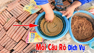 Mồi Câu Cá Rô Phi Hồ Dịch Vụ - Bắt gần 30kg rô phi đại