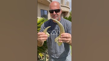 Casting Megaraptor and Velociraptor Claws in Brass #dinosaur #fossil #jurassic
