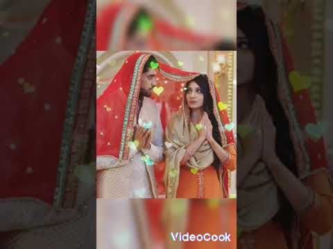 Vídeo: Shantanu se casou com puchki?