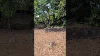 PXL 20241229 150104881