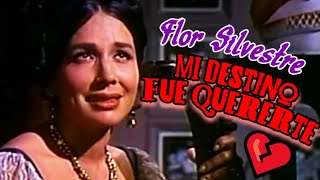 Watch Flor Silvestre Mi Destino Fue Quererte video