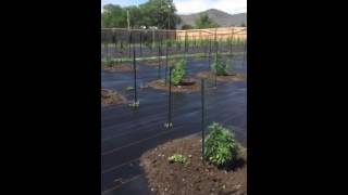 Outdoor Okanogan I502