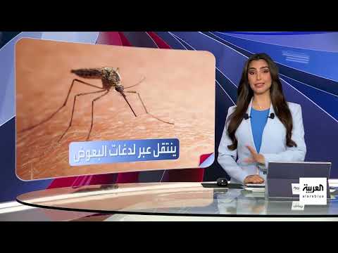 تفشي فيروس شيكونغونيا في الصين وتصاعد المخاوف العالمية