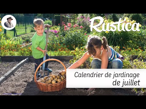 Vidéo: Que Faire Un Fleuriste En Juillet