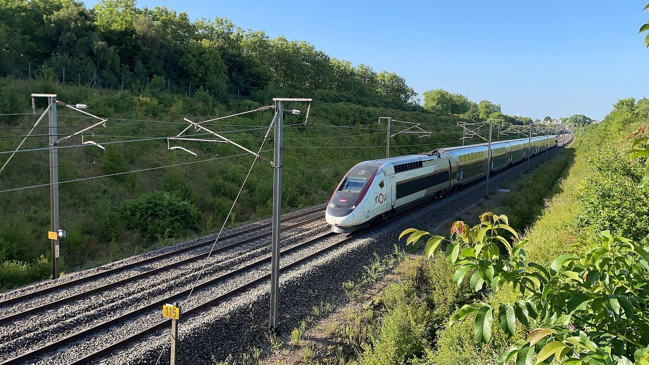 Compilation de TGV sur la LGV Nord en Juillet 2025 