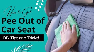 How to Get Pee Out of Car Seat? DIY Tips and Tricks!