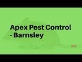 Apex Pest Control Barnsley | Expert Pest Control in Barnsley