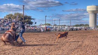 Roping Fiesta - 2022