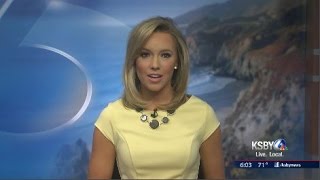 Amanda Starrantino Anchor 2-13-16