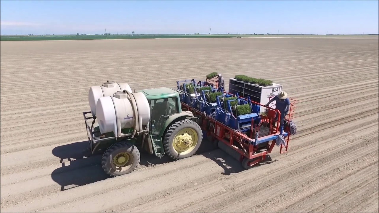 Ferrari Futura Automated Transplanter Machine