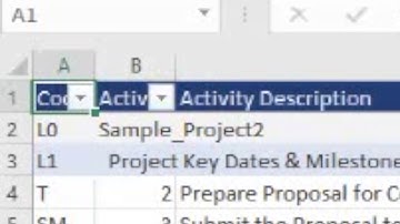 Copy & Paste from P6 to Excel