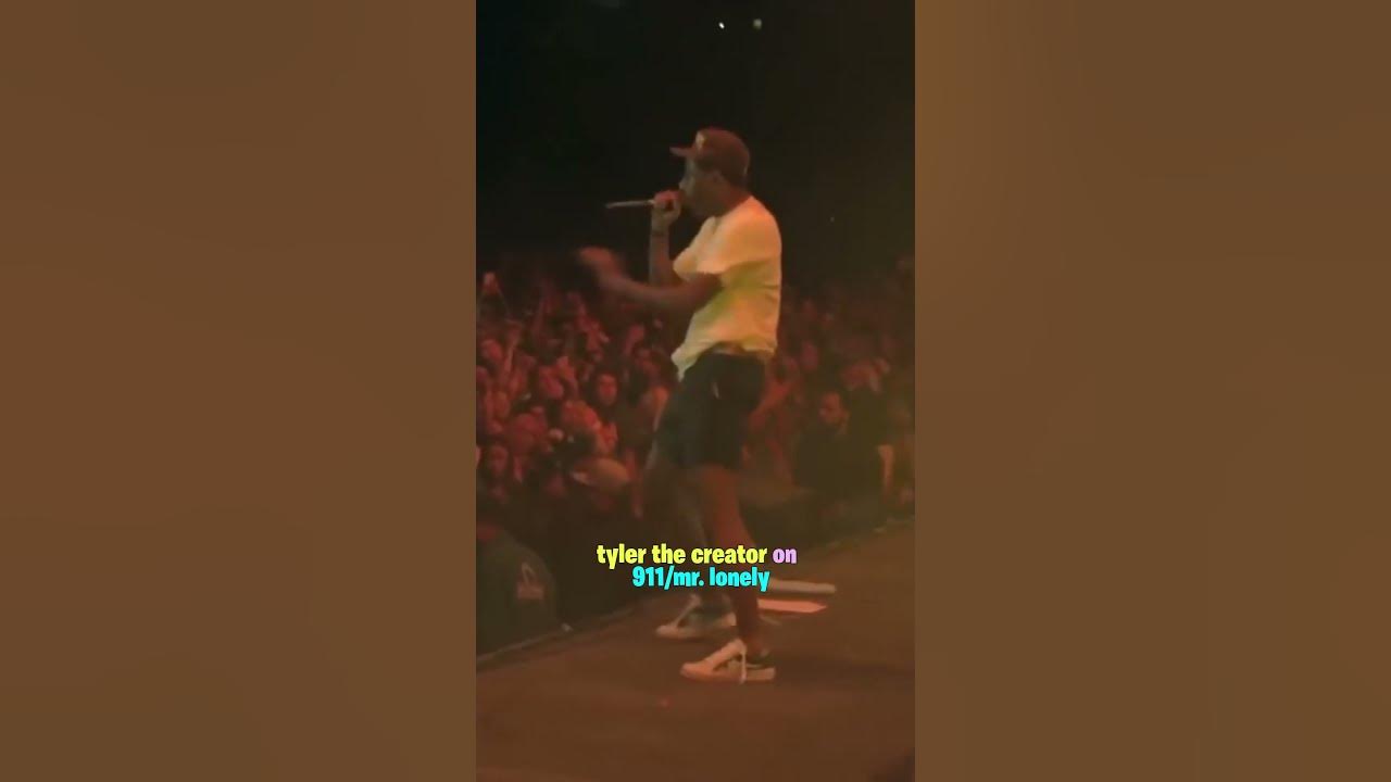 Tyler The Creator 911/Mr. Lonely 🌙🌻🐝