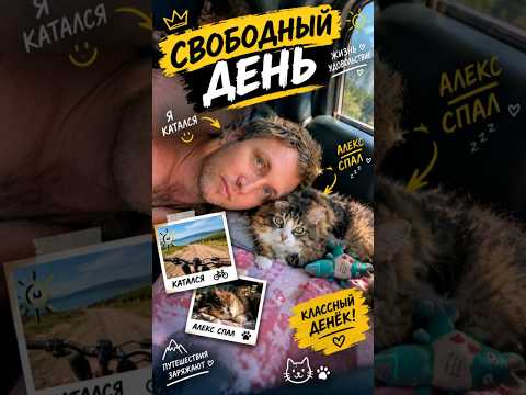 Отдыхали🙂😽 #cat