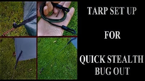 QT TOGGLE ON STAKES & 4MM BUNGEES (semi permanent connections)