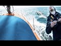 It's too ROUGH! we're turning back | Dolphins n boat life | Wildlings Sailing Ep.8