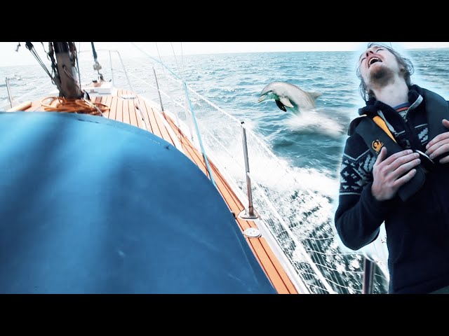 It’s too ROUGH! we’re turning back | Dolphins n boat life | Wildlings Sailing Ep.8