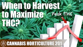 When Should You Harvest Your Plants A Look at Flower THC Production Week by Week