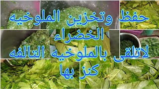 حفظ الملوخيه وتخزين الملوخيه الخضراء لموسم  بدون خرط ولا كبه..طرق تخزين الملوخيه بنفس اللون والطعم