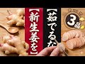 【新生姜を茹でるな】新生姜のポテンシャルを最大限に引き出す「究極の下処理」と簡単3レシピ