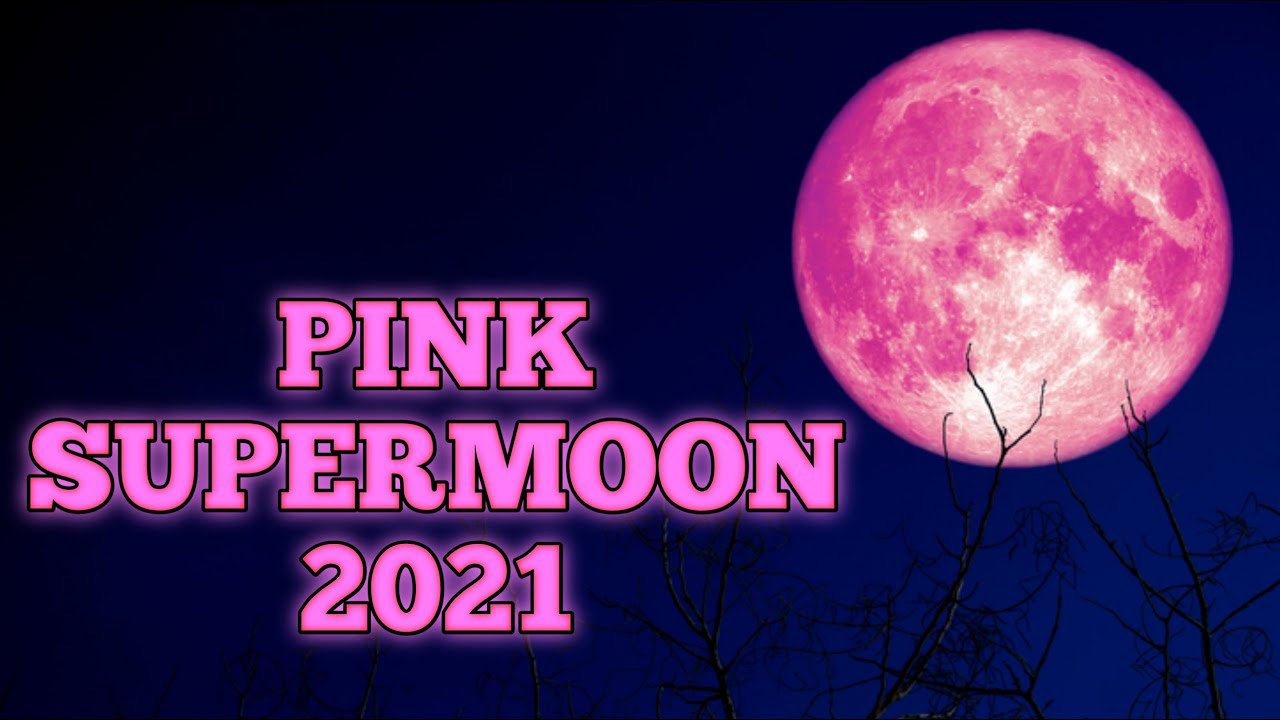 Розовая Луна Wednesday. Розовая Луна с описанием. Peter Pearson -2021- Pink Moon. Тг канал Pink Moon.