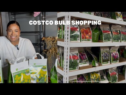 COSTCO BULB SHOPPING HOW I STORE THEM BEFORE PLANTING 