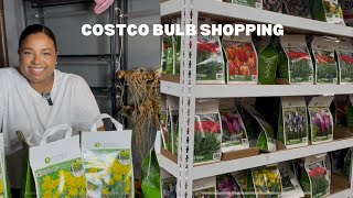 COSTCO BULB SHOPPING || HOW I STORE THEM BEFORE PLANTING! 