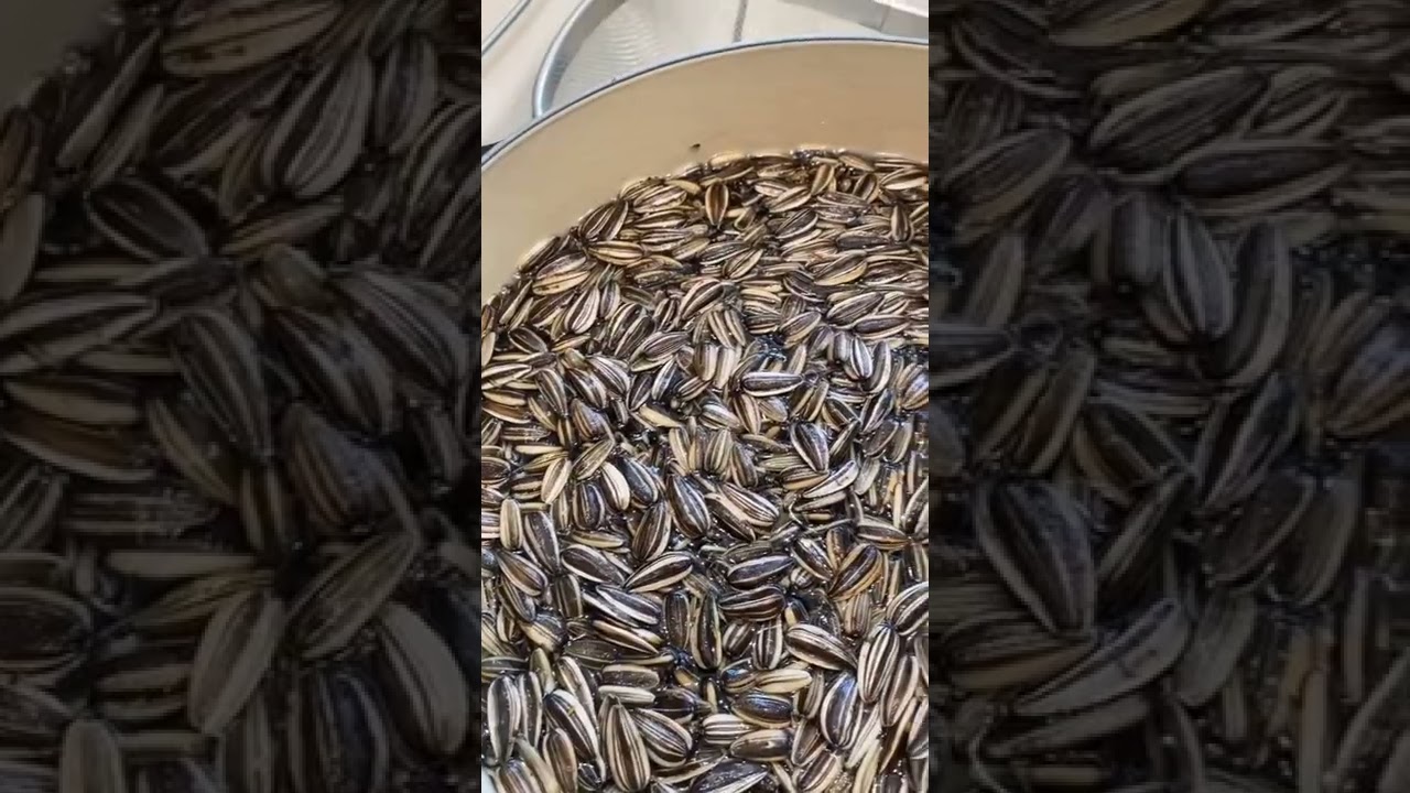 Roasted Sunflower Seeds 🌻😋 