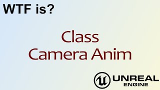 WTF Is? Camera Anim Class in Unreal Engine 4 ( UE4 ) screenshot 5