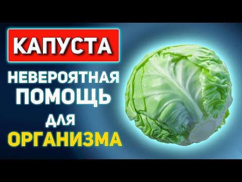 Кушаешь КАПУСТУ каждый день - тогда смотри это видео. ВСЯ ПРАВДА О КАПУСТЕ