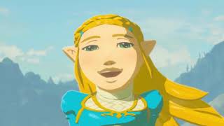 Zelda YTP Meme of the Wild (PR0FILE_4O4 reupload)