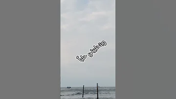 كفك يا دنيا علم مطبخ مشمشه مع العائله 
