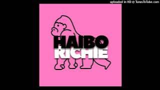 Haibo Richie - Till The End Remix 2025