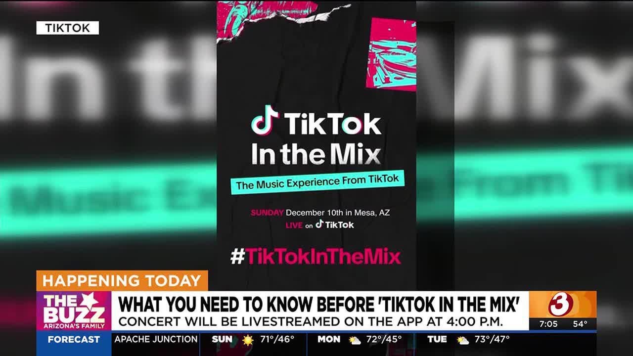 What you can and can't take inside to TikTok in the Mix happening in